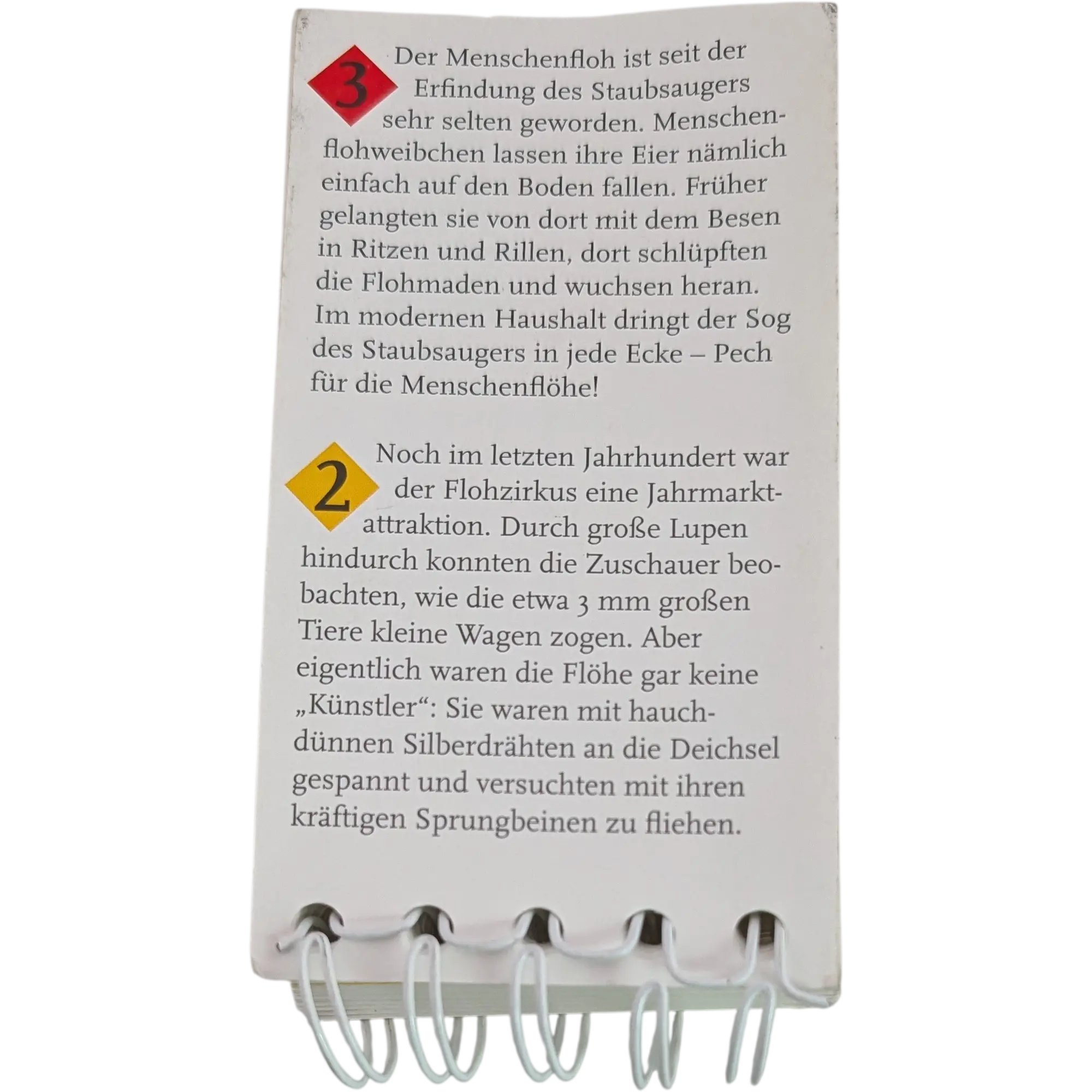 Brockhaus Quiz Groß und klein Tiere daheim Kinder-Quiz mit Spiralbindung, Ansicht 2