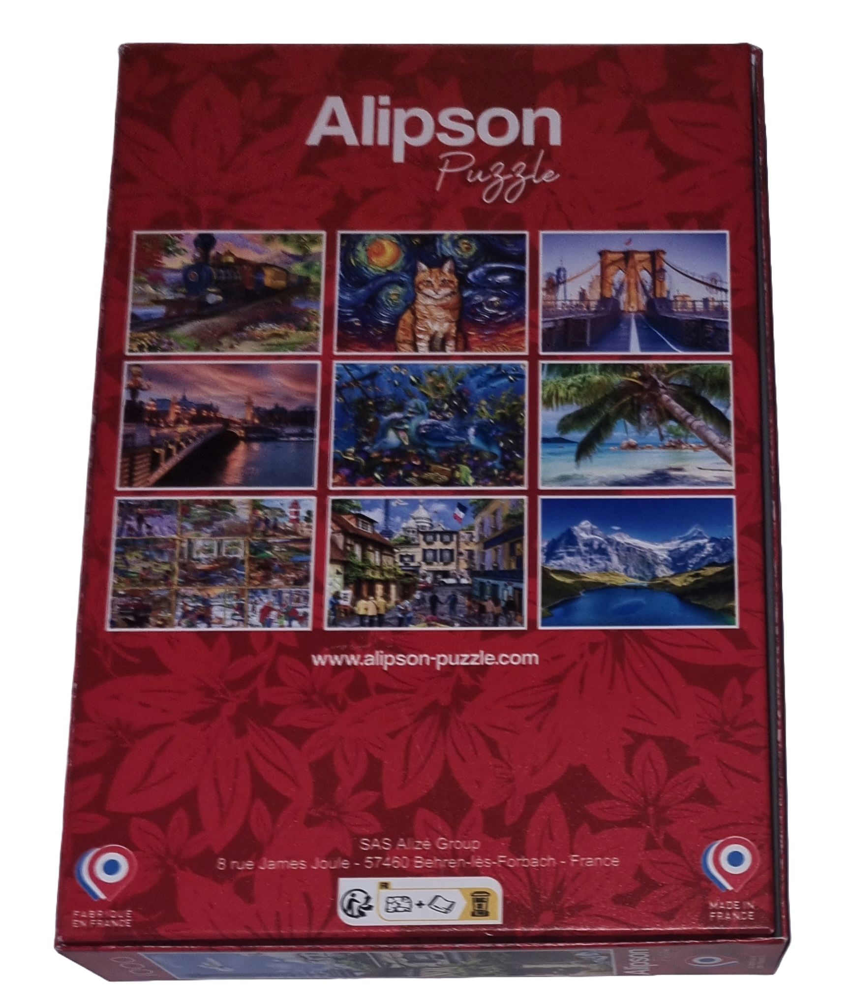 Alipson Puzzle 1000 Teile 50031 Paris