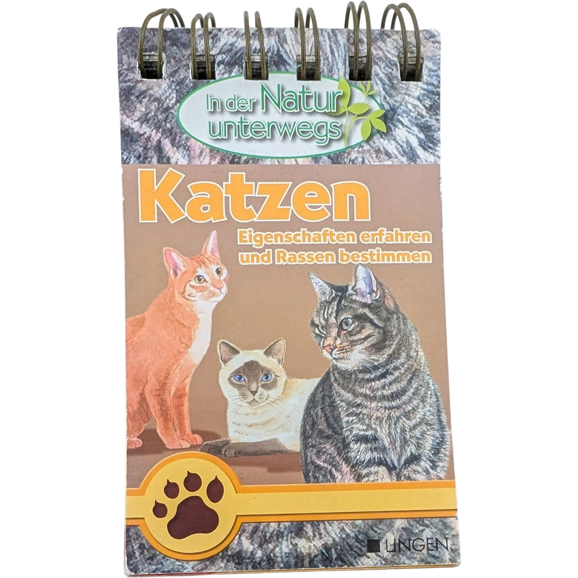 Lingen In der Natur unterwegs Katzen Eigenschaften erfahren und Rassen bestimmen