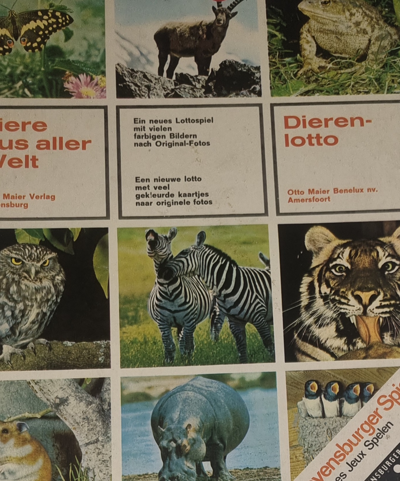 Ravensburger Tiere aus aller Welt-Lotto 15025