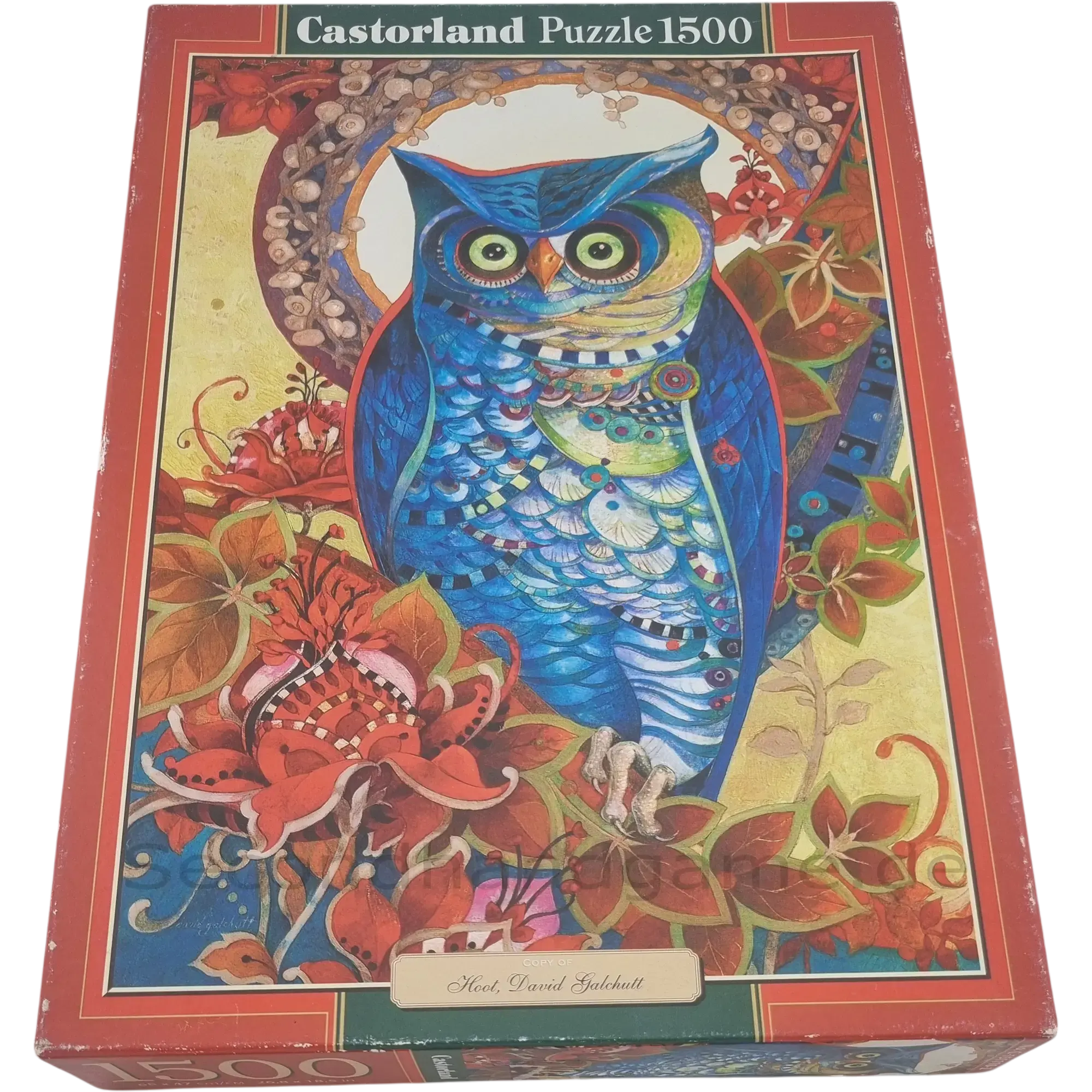 Castorland Puzzle Hoot, David Galchutt 1500 Teile C1513102