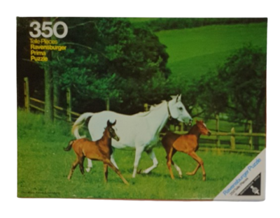 Ravensburger Puzzle 350 Teile 6235931