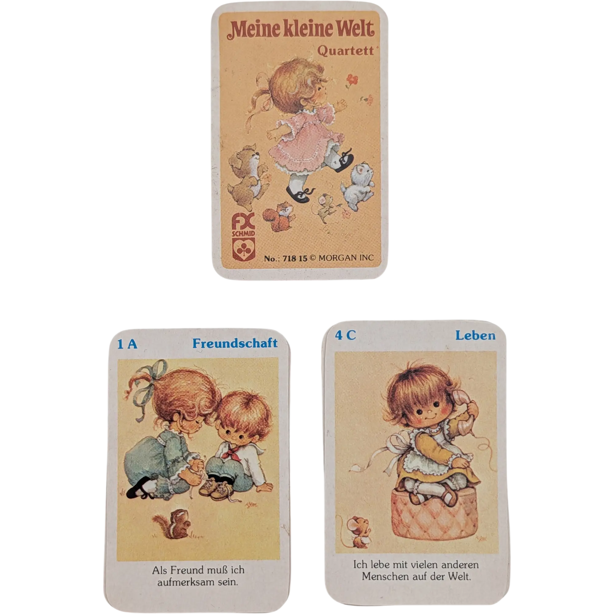 FX Schmid Meine kleine Welt Quartett 71815 Vintage Kartenspiel in Kunststoffbox, Ansicht 2
