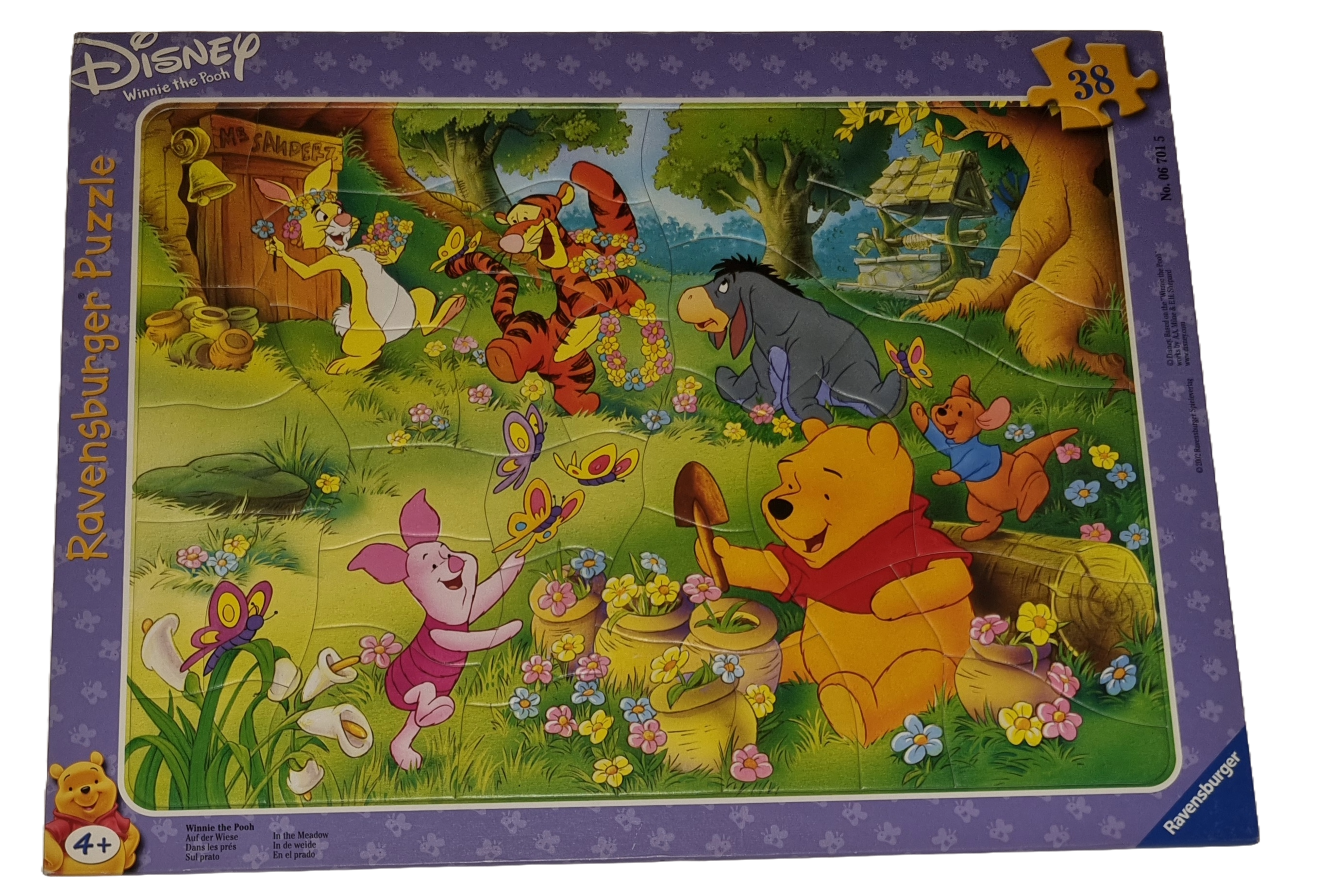 Ravensburger Rahmenpuzzle Winnie the Pooh 38 Teile 067015 Auf der Wiese