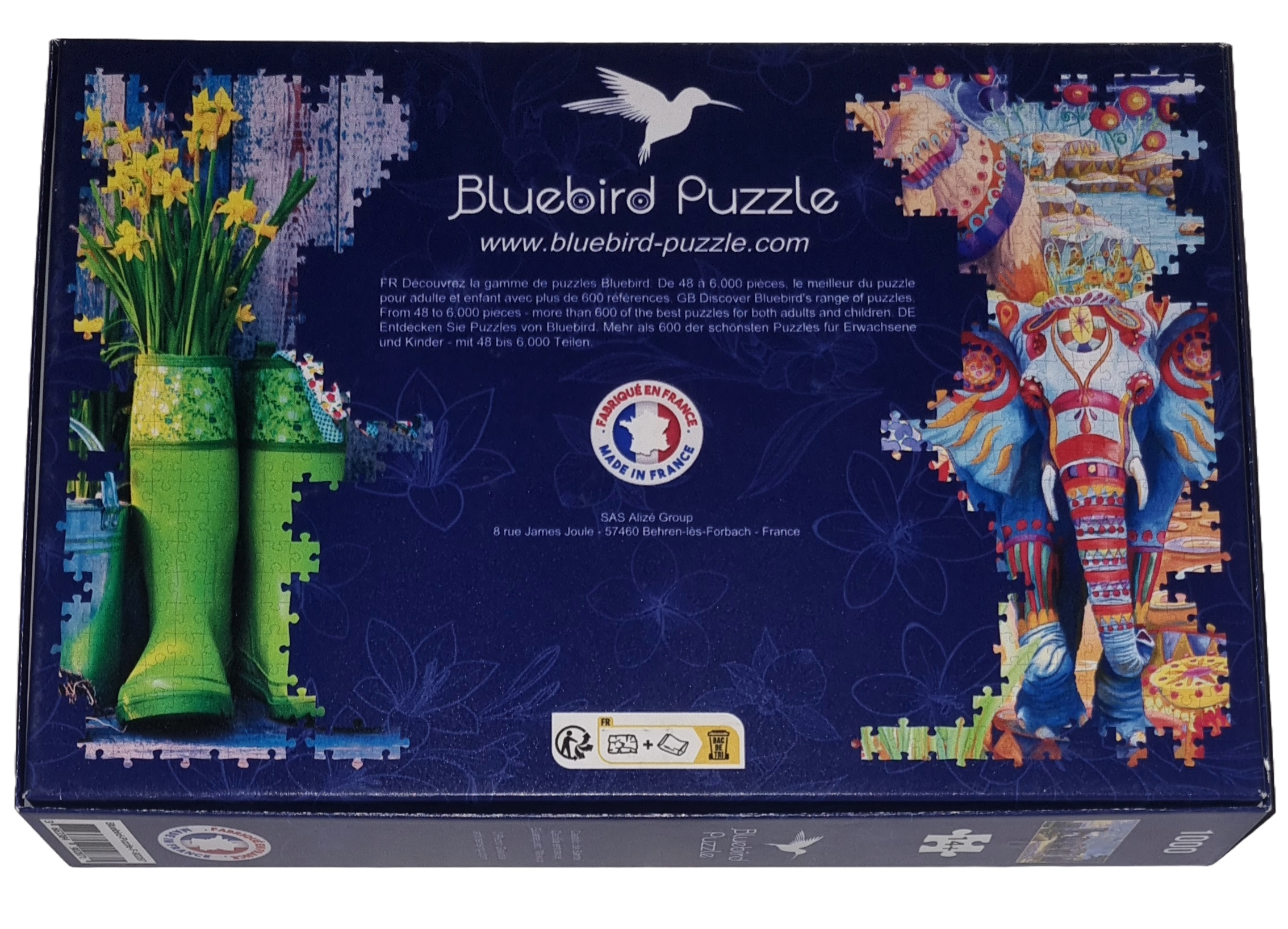 Bluebird Puzzle 1000 Teile 90287 Castillo de Santa Cecilia entrace