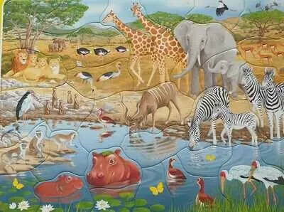 Bookmark Verlag Tierwelt 32 Teile