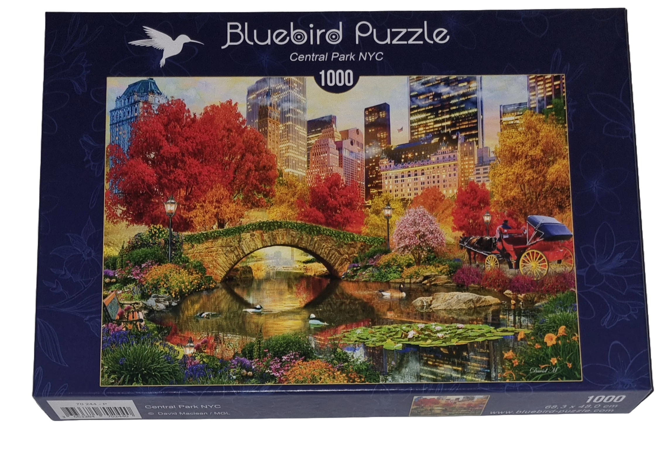 Art by Bluebird Puzzle 1000 Teile 70244 Central Park NYC