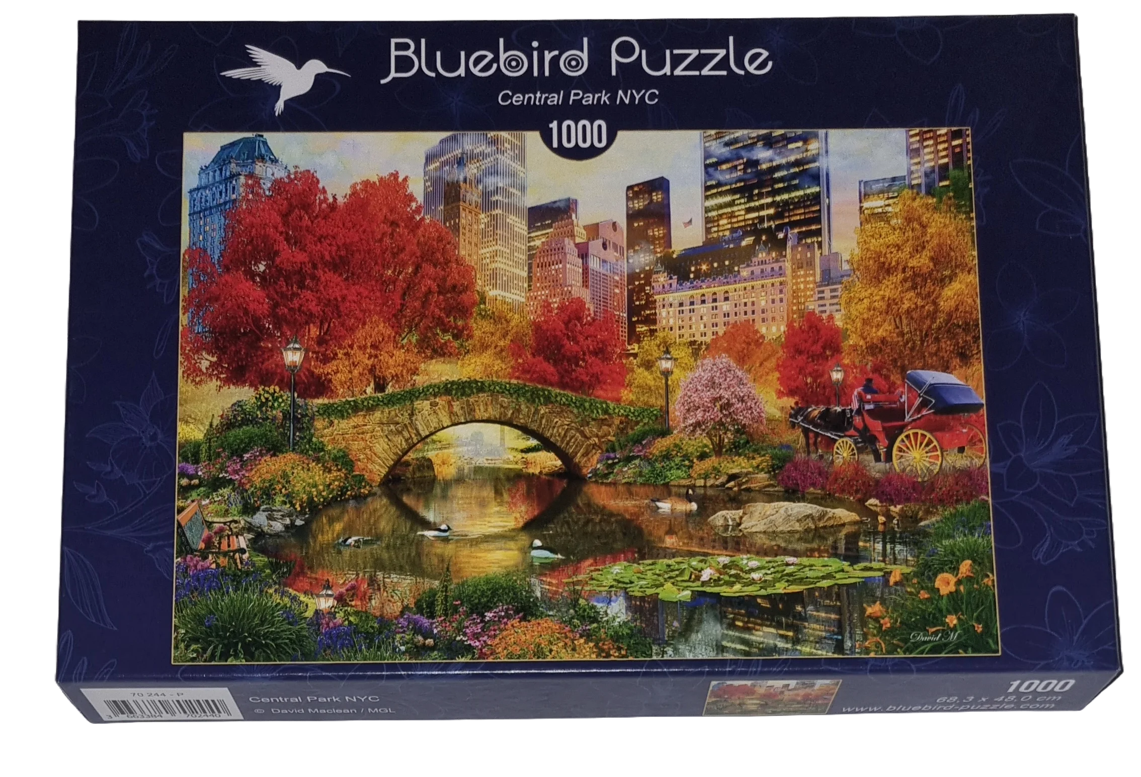 Art by Bluebird Puzzle 1000 Teile 70244 Central Park NYC