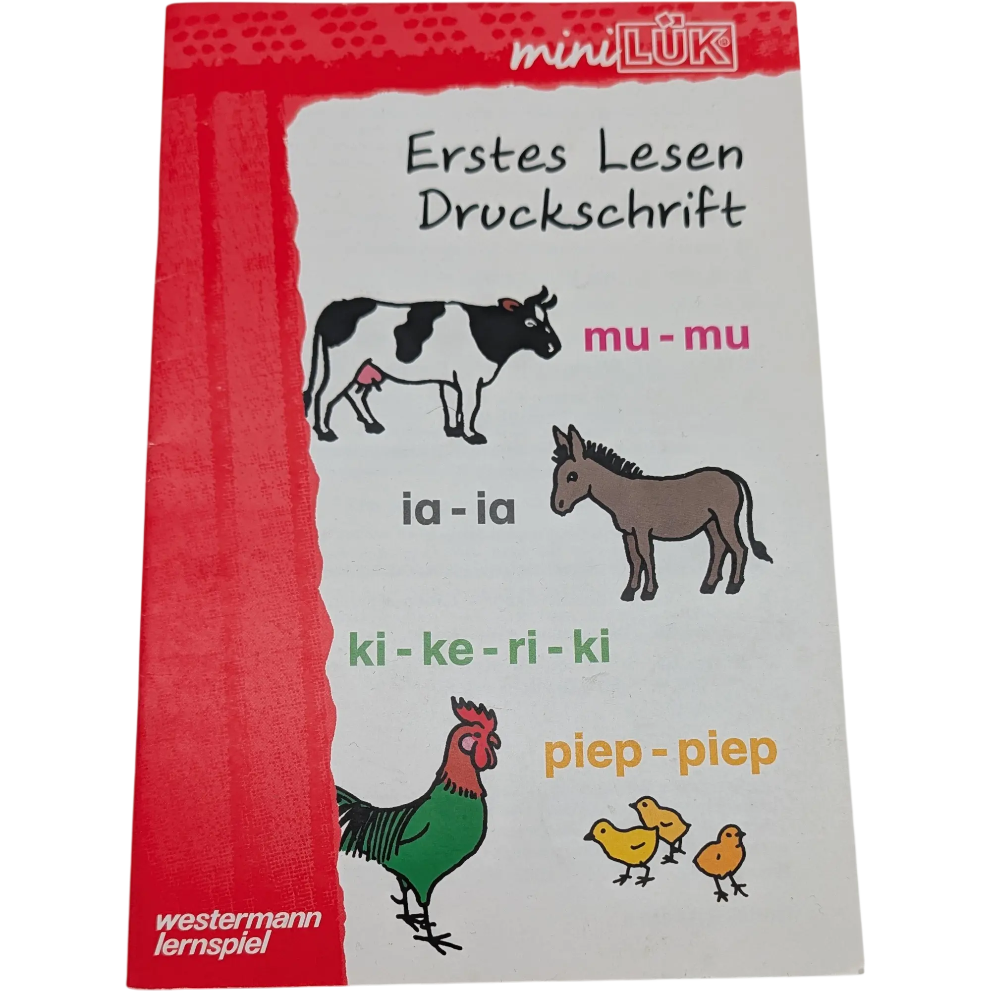 Mini Lük Erstes Lesen Druckschrift