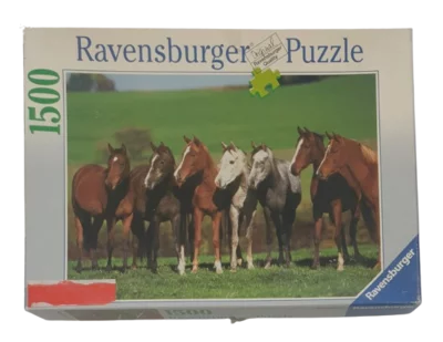Ravensburger Puzzle 1500 Teile 163175