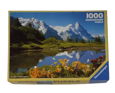 Ravensburger Puzzle 1000 Teile 157365