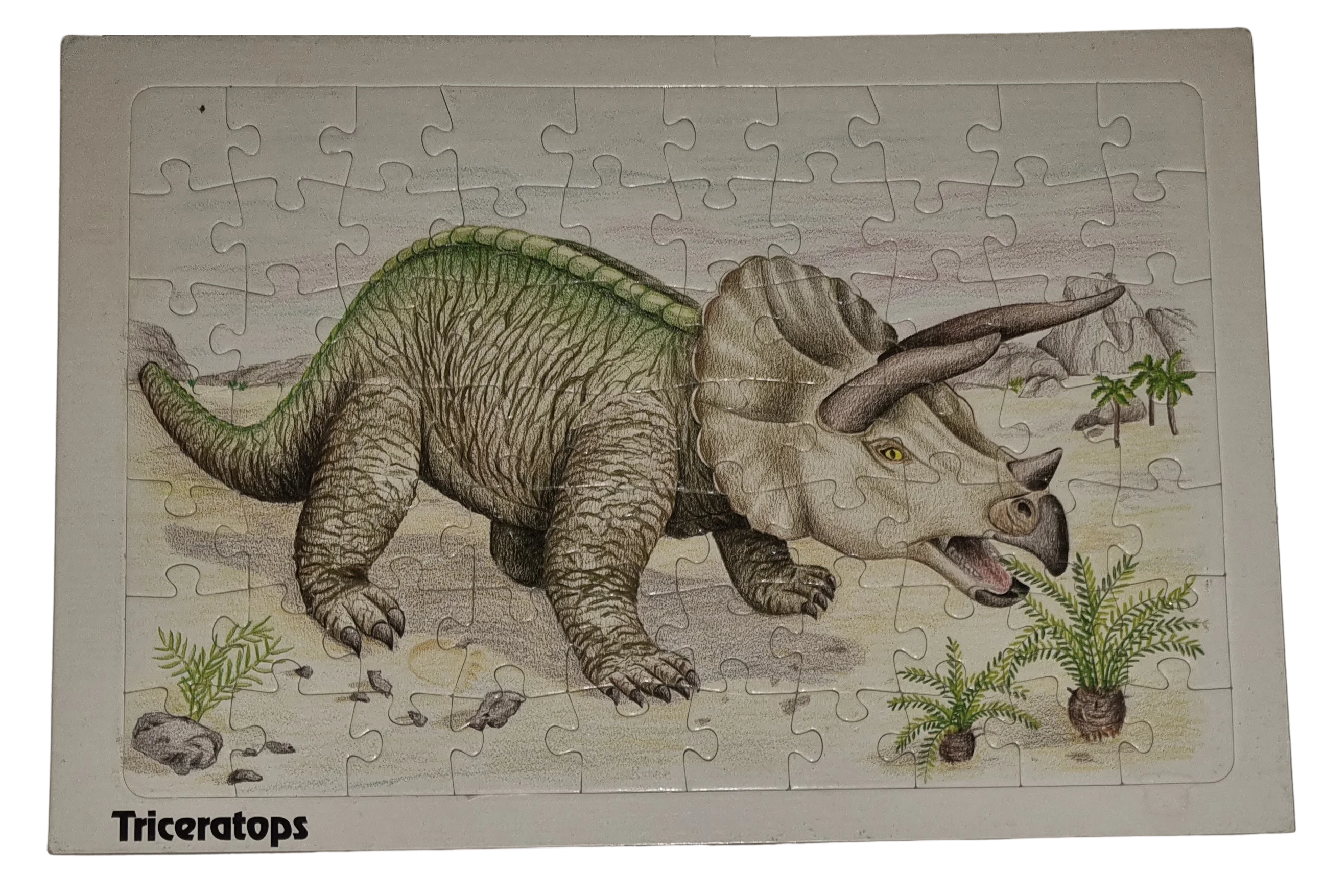 Triceratops Rahmenpuzzle 70 Teile Dinosaurier