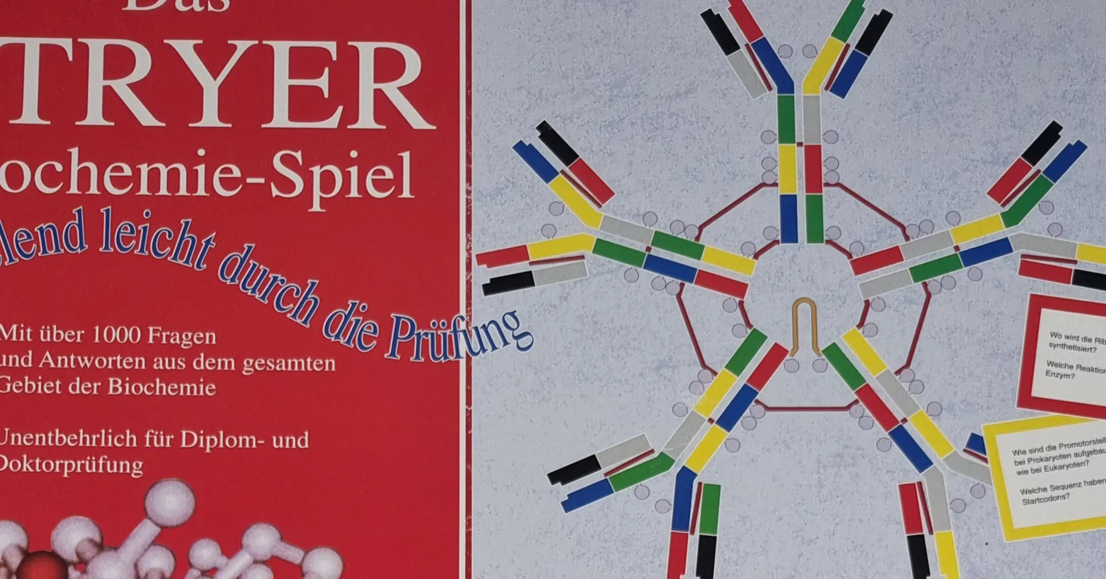 Spektrum Das Stryer Biochemie-Spiel