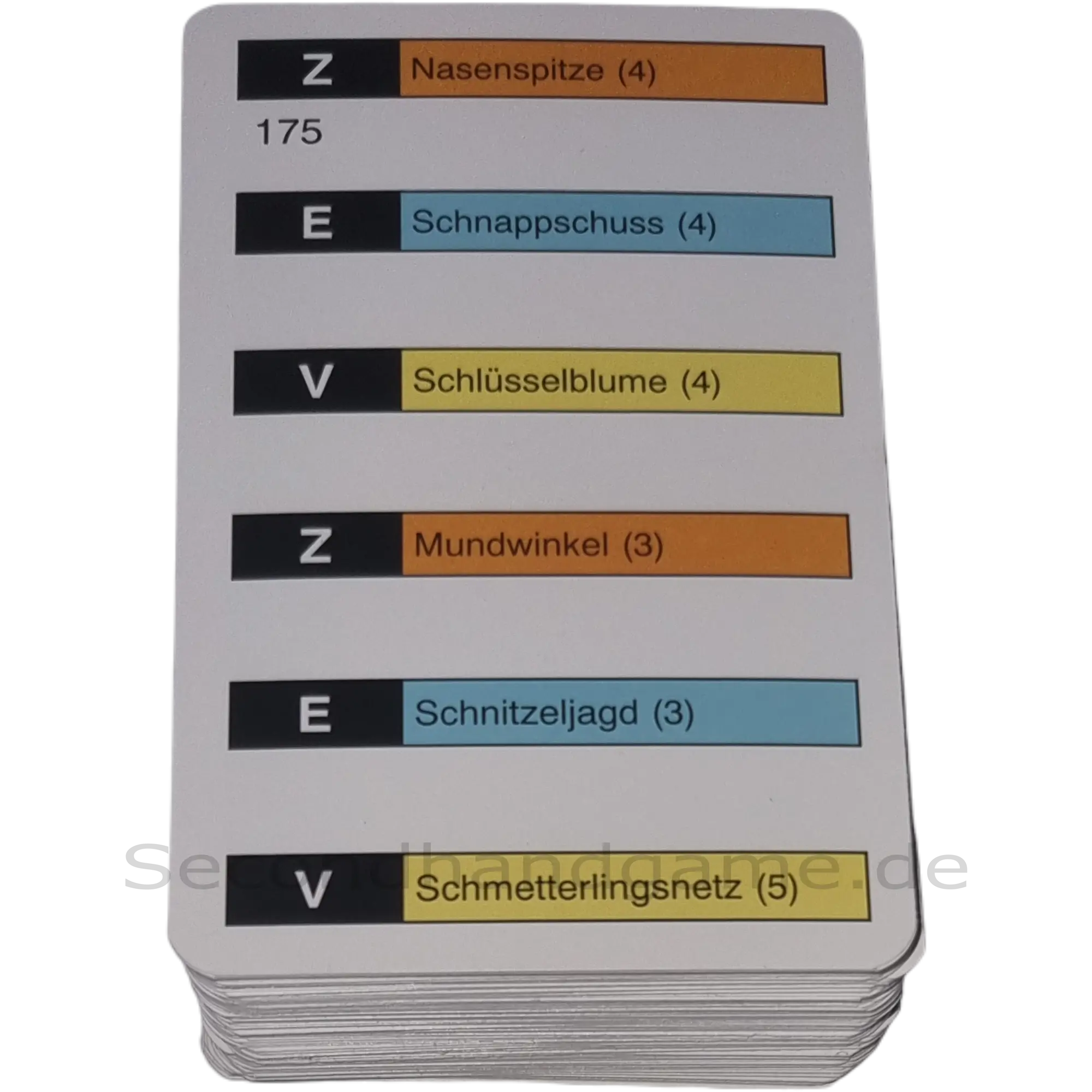 PIATNIK Activity Family Classic Kartensatz