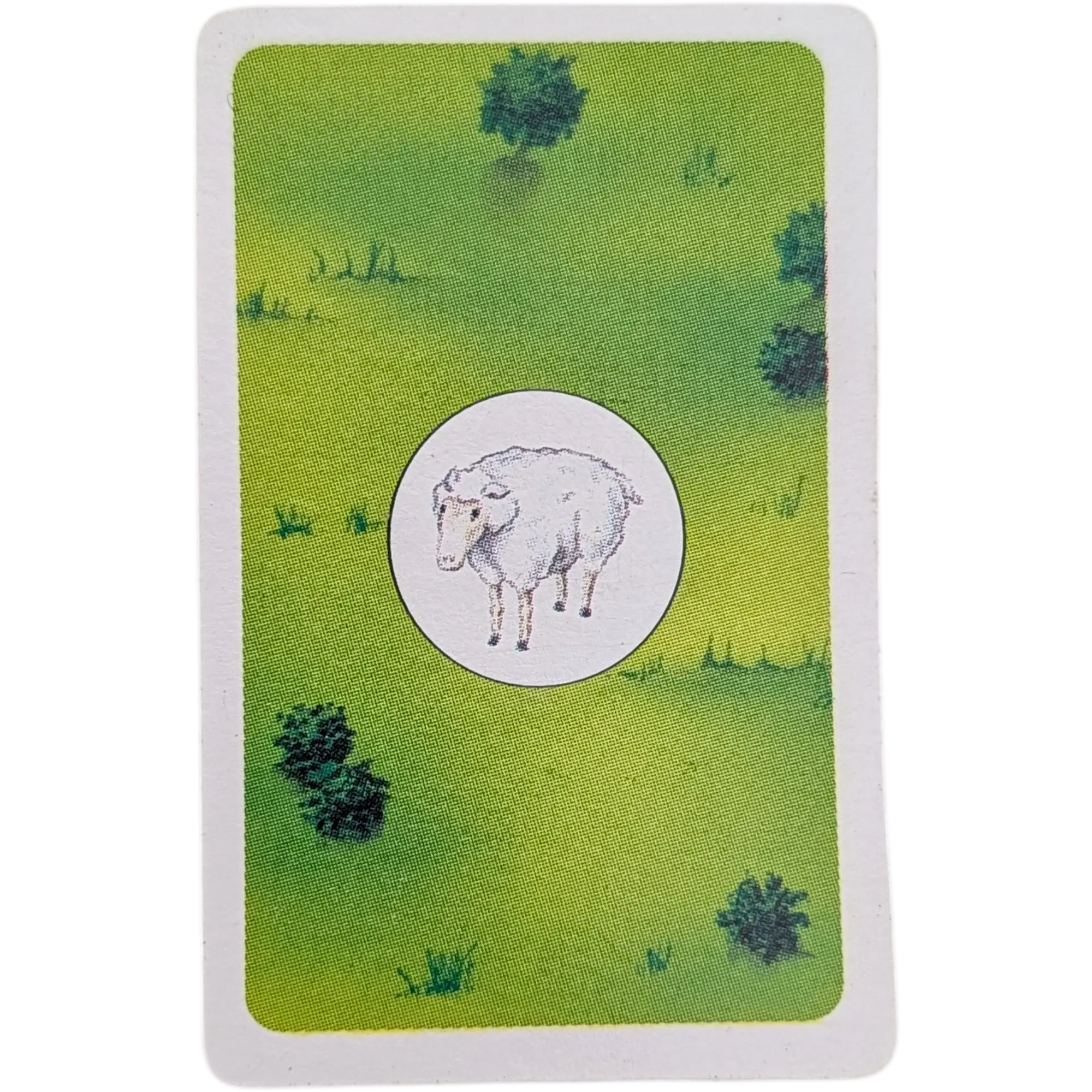 Kosmos Travel-Box Die Siedler von Catan Ersatzteile Rohstoffkarten Weideland Wolle Schaf