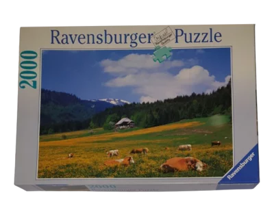 Ravensburger Puzzle 2000 Teile 166398