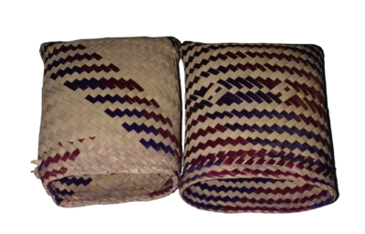 Die Papalapagos Springkäfer