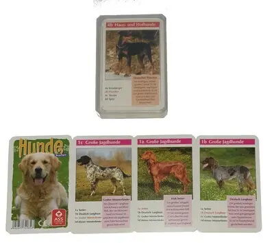ASS Hunde Quartett
