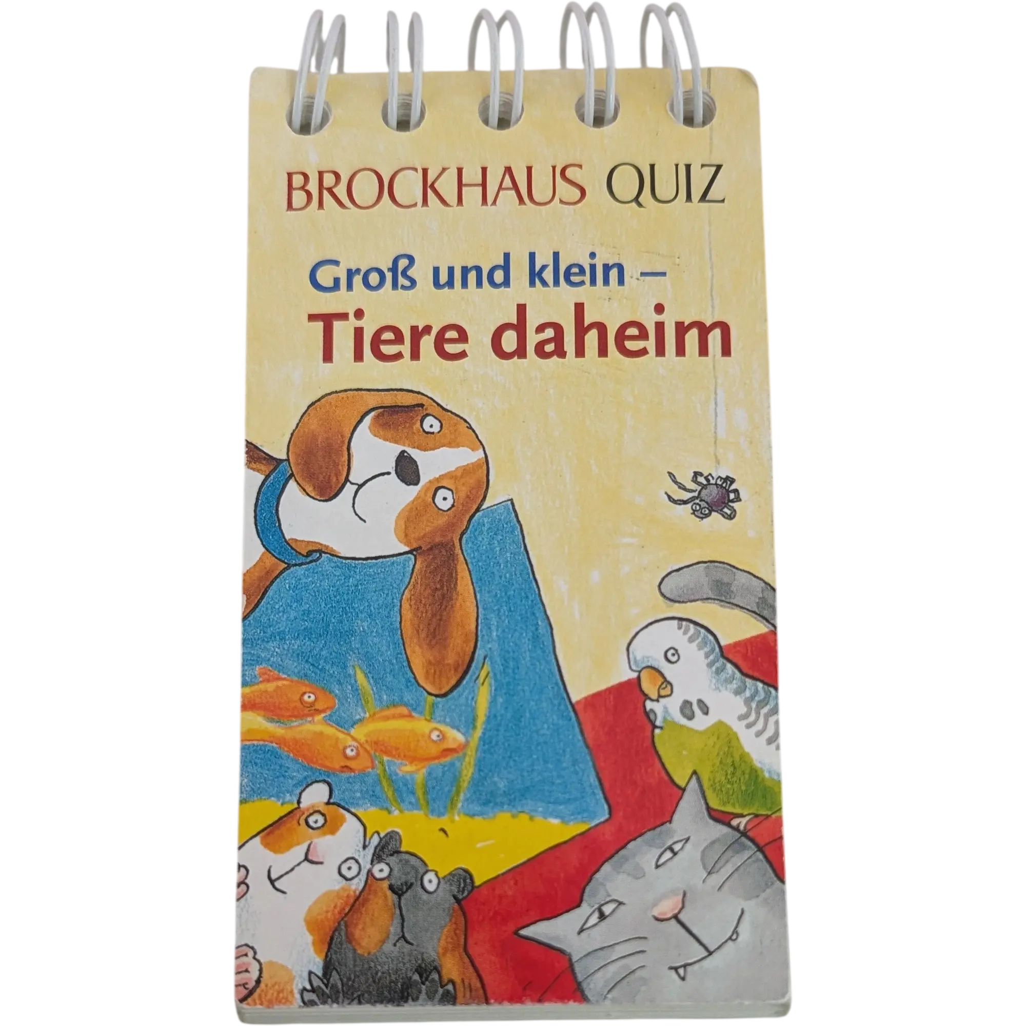 Brockhaus Quiz Groß und klein Tiere daheim Kinder-Quiz mit Spiralbindung