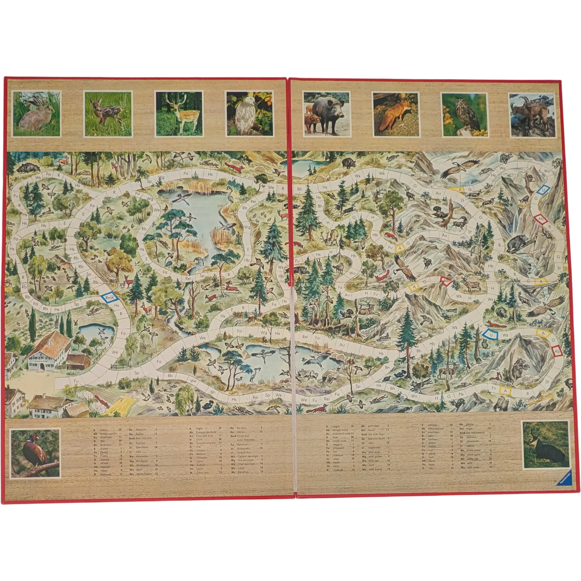 Spielplan Spielbrett Ravensburger Das Jagdspiel