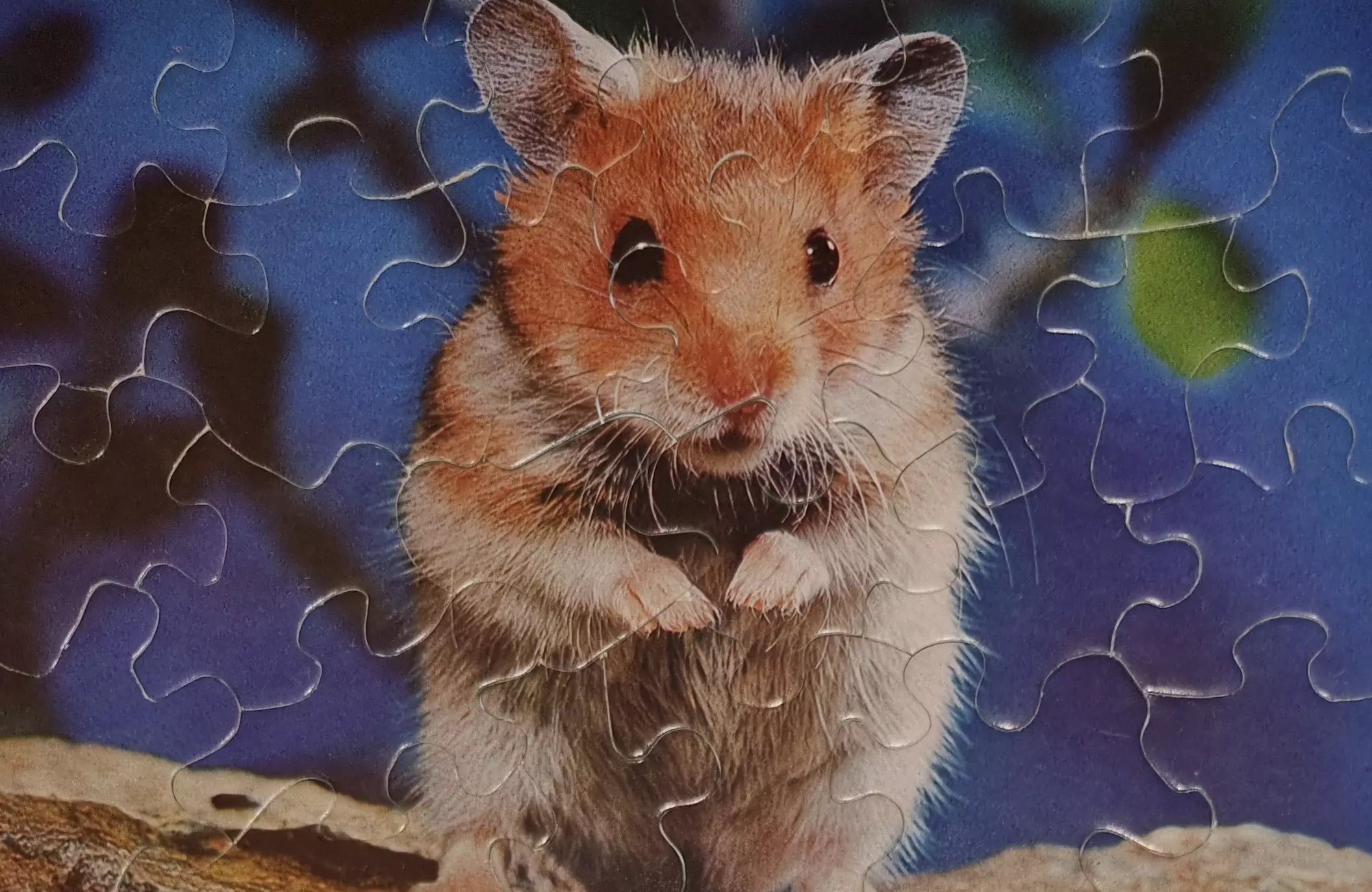 Puzzeln Einzeln Hamster 24 Teile
