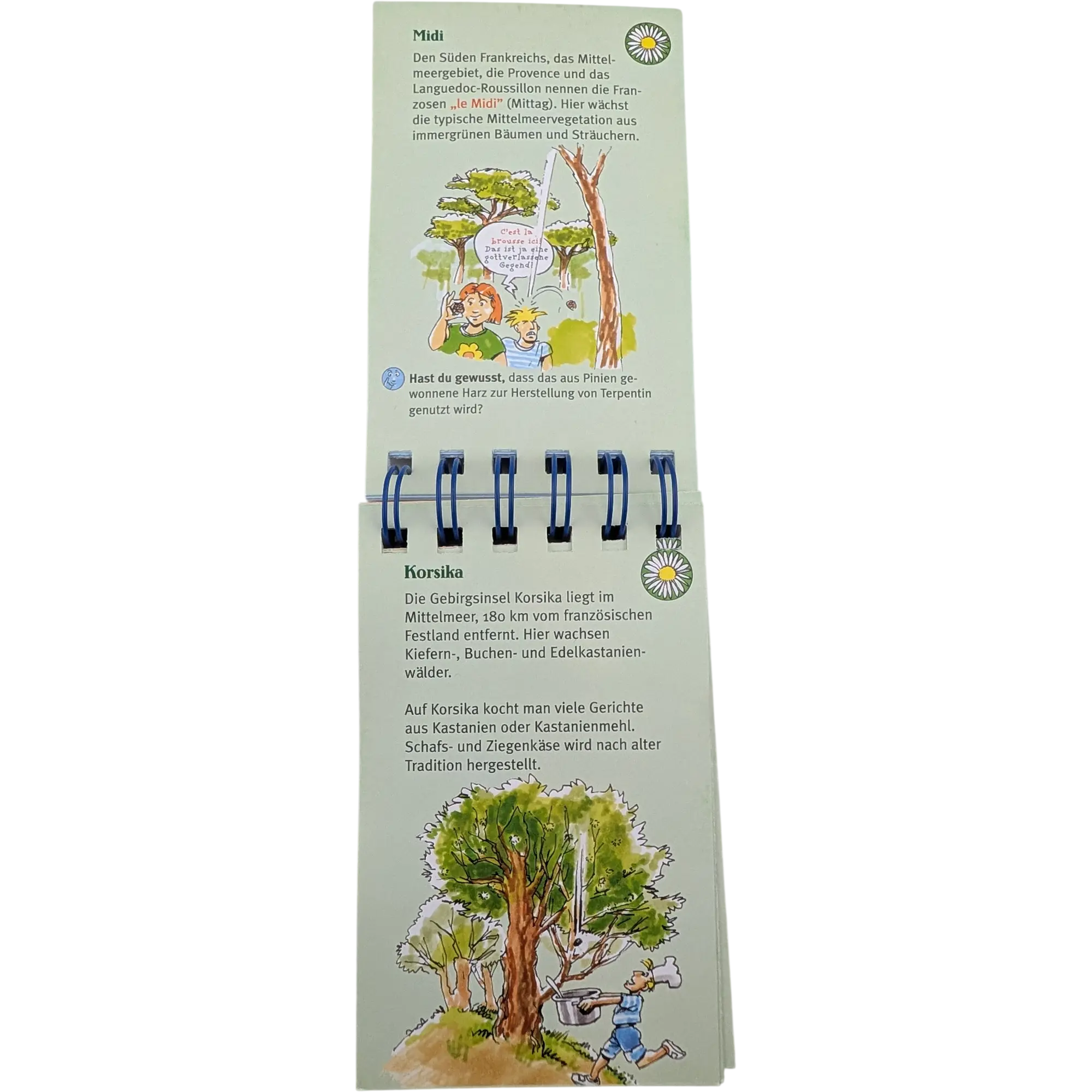 moses Frankreich für Kinder Spiel Spaß Wissenswertes
