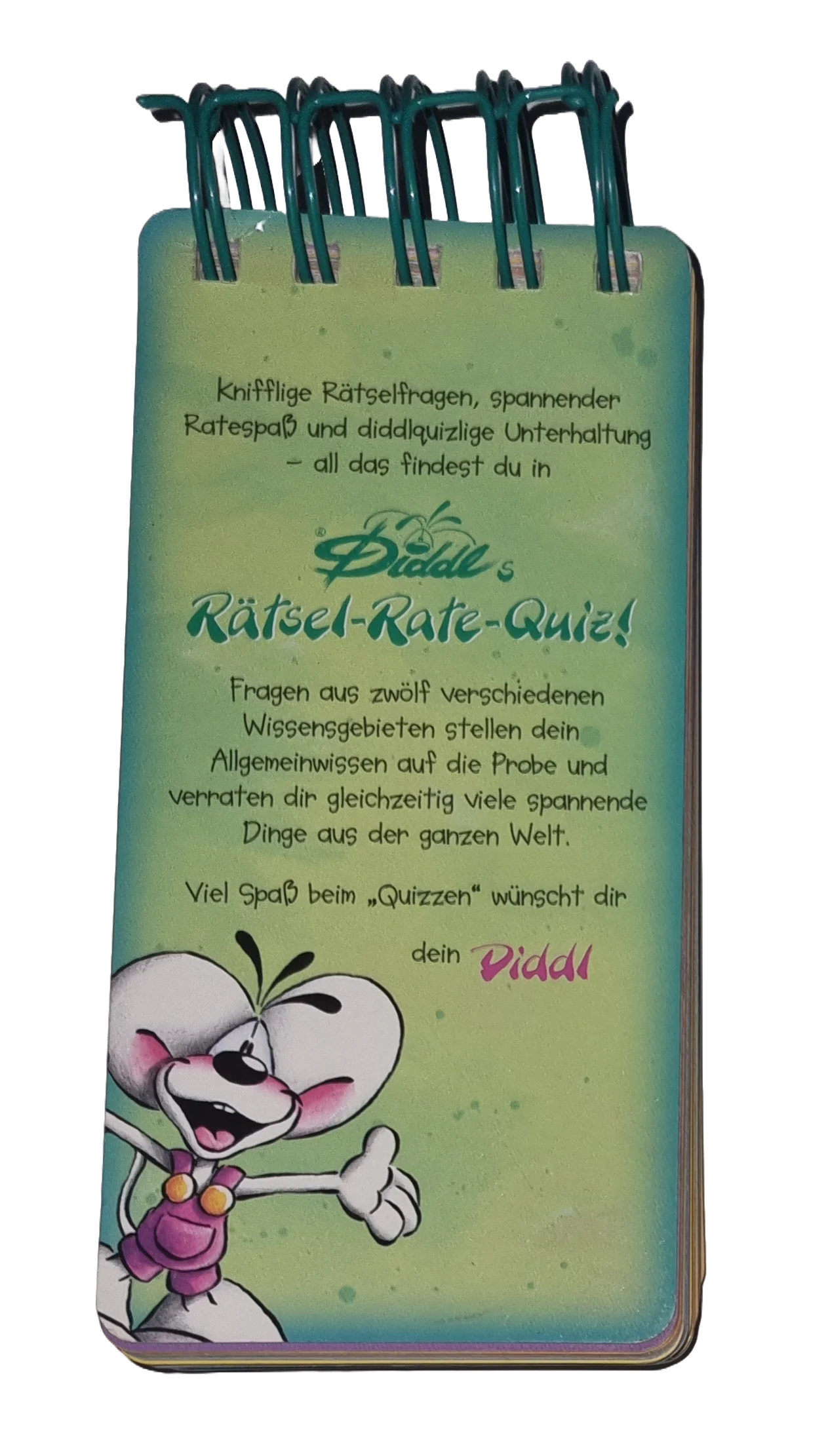 Diddls Rätsel-Rate-Quiz Grundschule