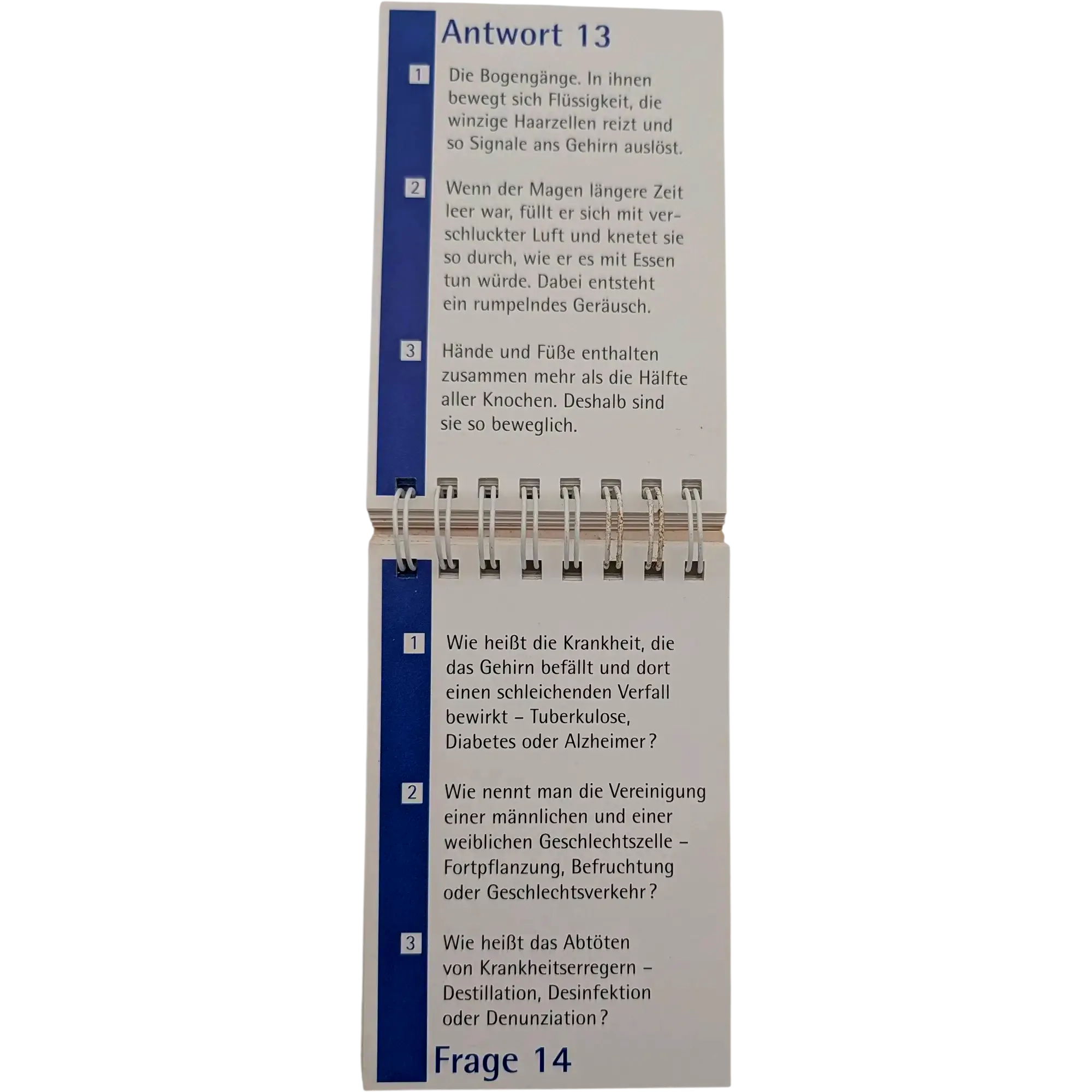 lies + spiel Quiz Unser Körper Taschenquiz, Ansicht 2