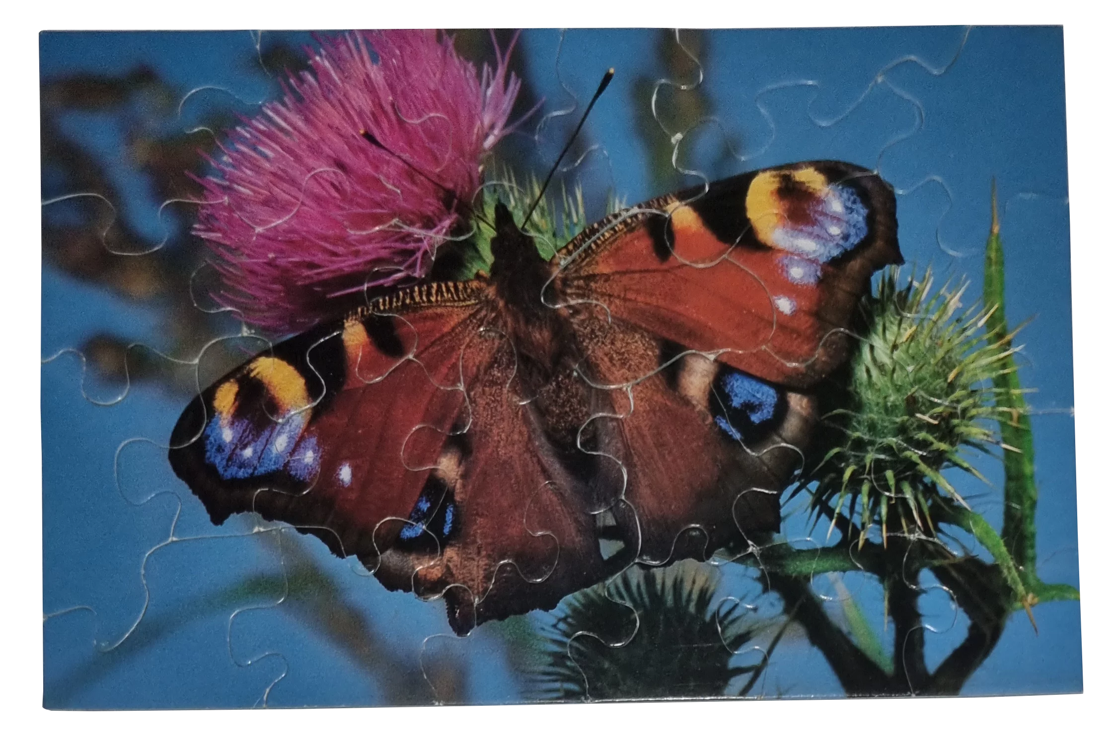 Puzzeln Einzeln Schmetterling 24 Teile