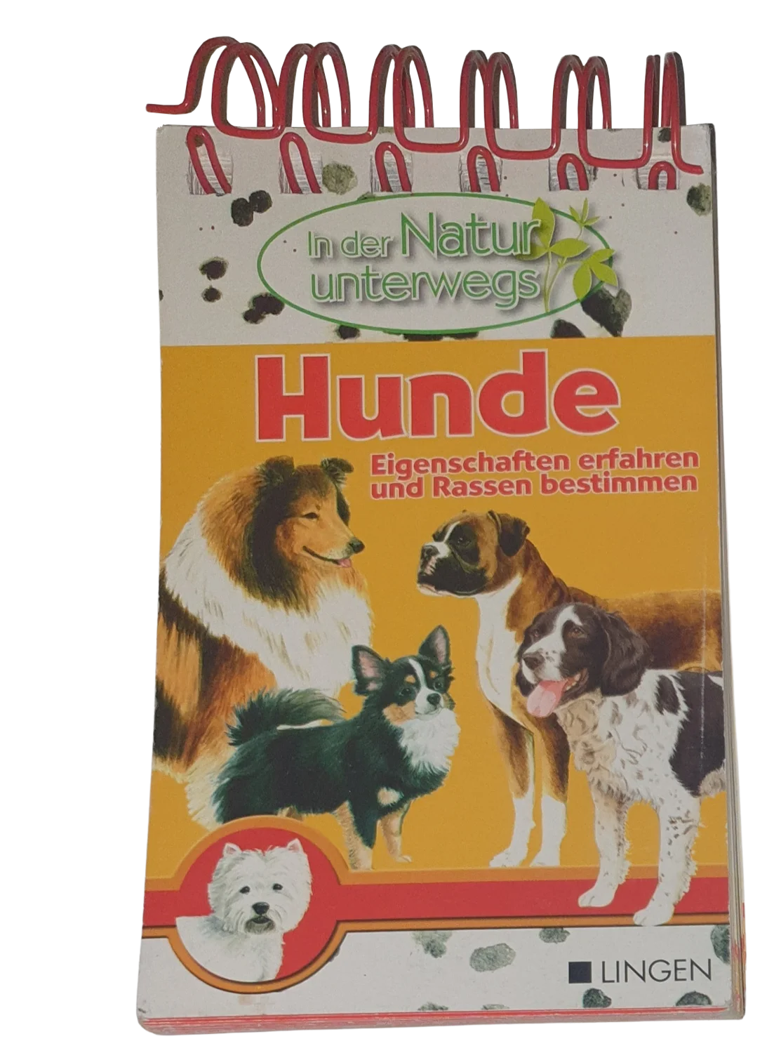 In der Natur unterwegs Hunde