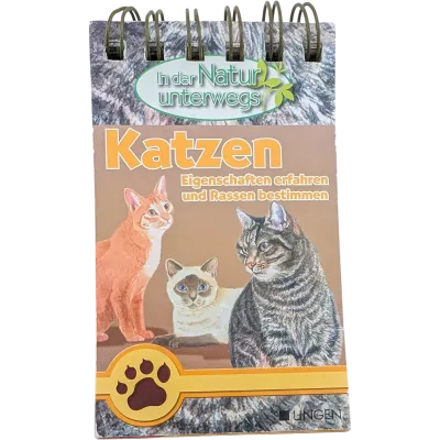 Lingen In der Natur unterwegs Katzen Eigenschaften erfahren und Rassen bestimmen