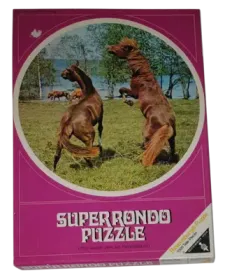Ravensburger Super Rondo Puzzle 1000 Teile 6255554