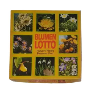 FX Schmid Blumenlotto 79309