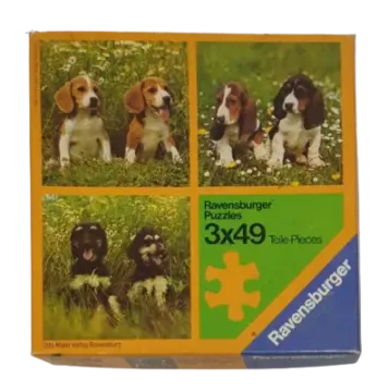 Ravensburger 3x49 Hunde in der Wiese 62357274
