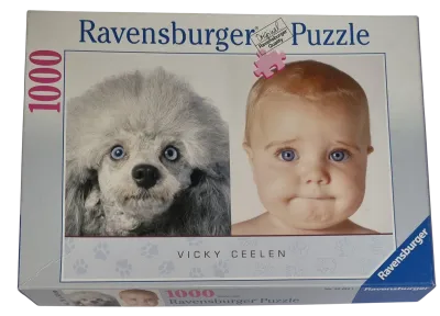 Ravensburger Puzzle 1000 Teile 154241 Vicky Ceelen, große blaue Augen