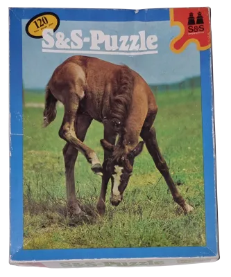 S&S Puzzle 120 Teile 625/9210