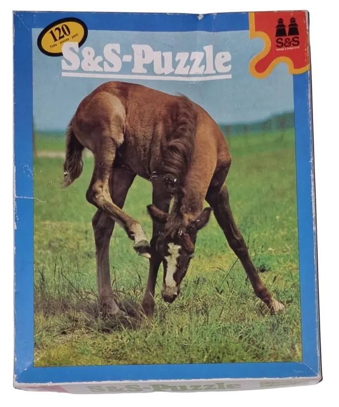 S&S Puzzle 120 Teile 625/9210