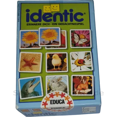 Educa Identic Erinnere dich - Ein Gedächtnisspiel