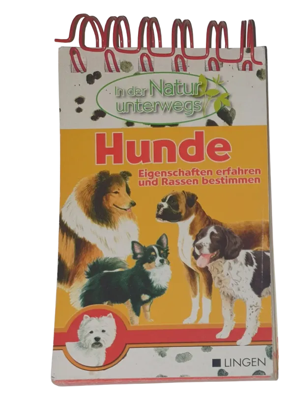 In der Natur unterwegs Hunde